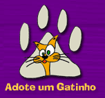 Adopte um gatinho